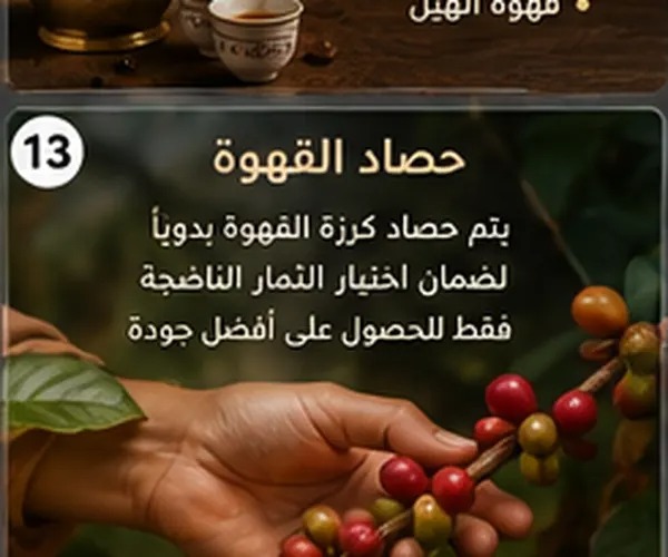 طريقة عمل القهوة السعودية الشقراء